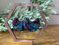 Daisy Tie Dye Half Circle Drop Earrings